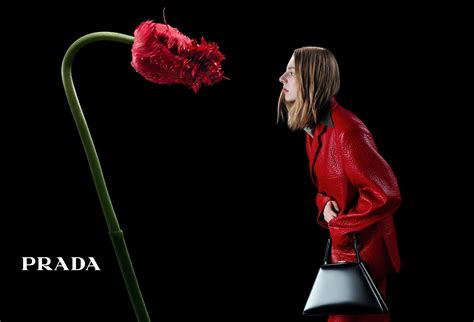 orlando fiori prada|prada flower shops 2023.